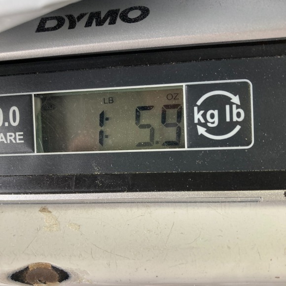 Pilcro‎ Cargo Jeans Womens Petite 33P Blue Cropped Ankle - Picture 13 of 13